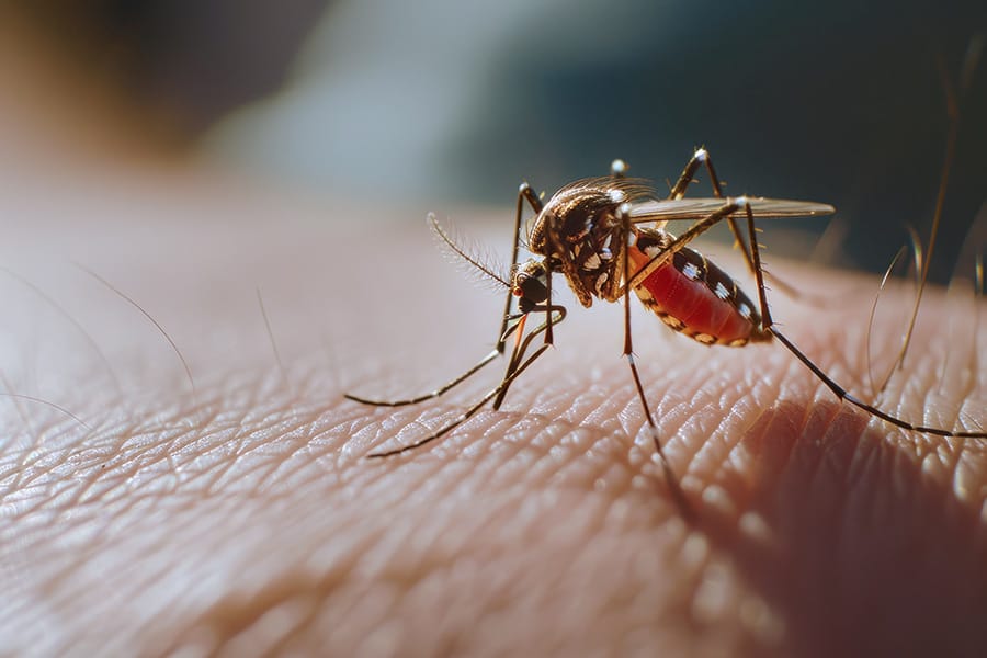 Imagem: Nova Lei amplia licenças para pais e mães de crianças com deficiência permanente causada pelo vírus Zika Gênesys Organização Contábil em Arujá